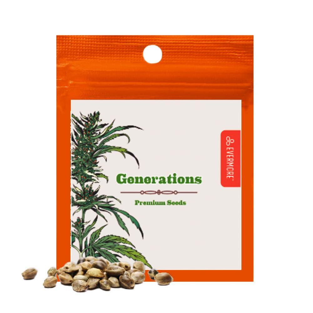 Photograph of product: Permanent Funk(PM x FG male) Seeds [10pk]