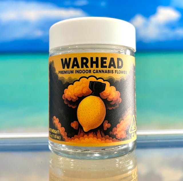 Photograph of product: Warhead 1/8 BIGS - 