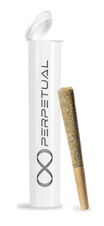 Photograph of product: 2090 Perpetual