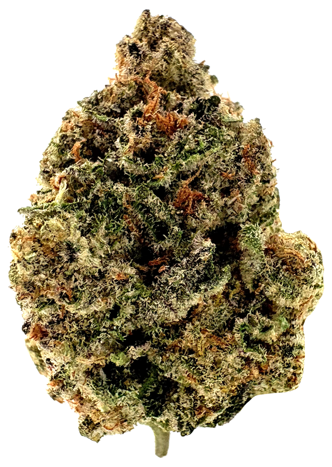 Photograph of product: Gold Standard | Applescottie | 7G