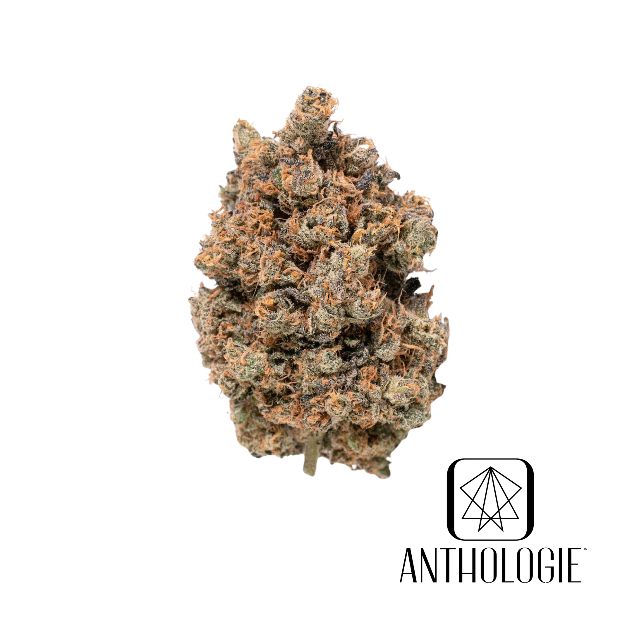 Photograph of product: Black Cherry Garlic | 3.5g