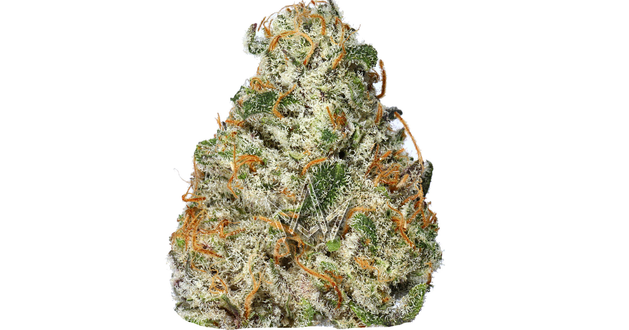Photograph of product: | Strawberry Pines | Hybrid | Bud - 28g
