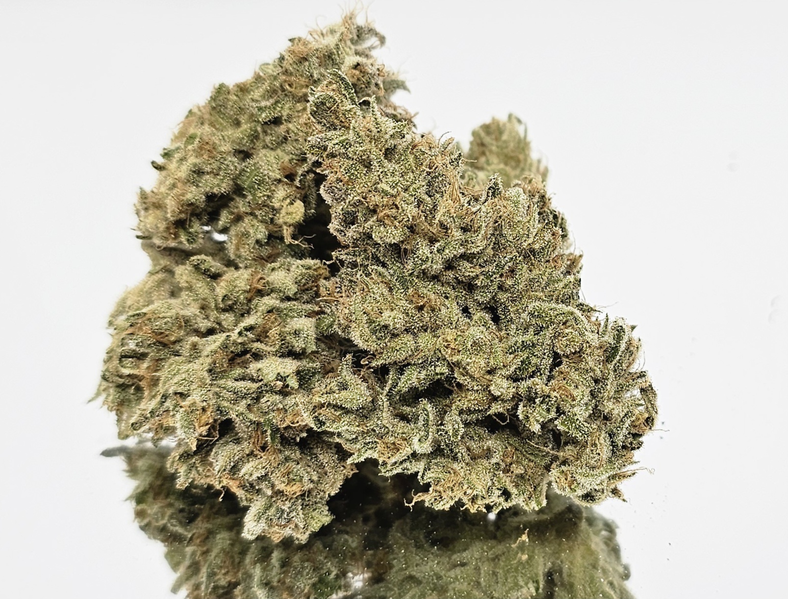 Photograph of product: Jack Herer [DOH] - by Doghouse - 7g