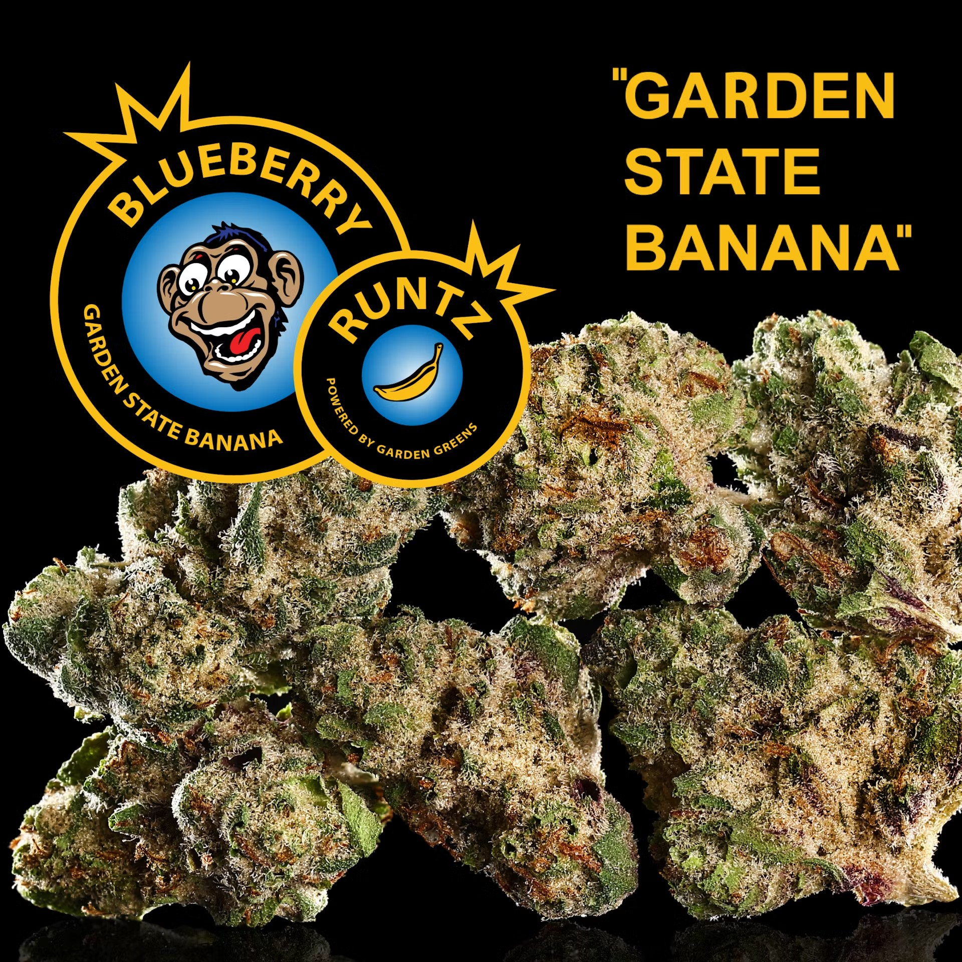 Photograph of product: Garden State Banana - Blueberry Runtz - 3.5g - Flower