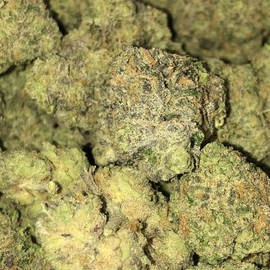 Photograph of product: Rainbow Runtz (Grown Rogue)