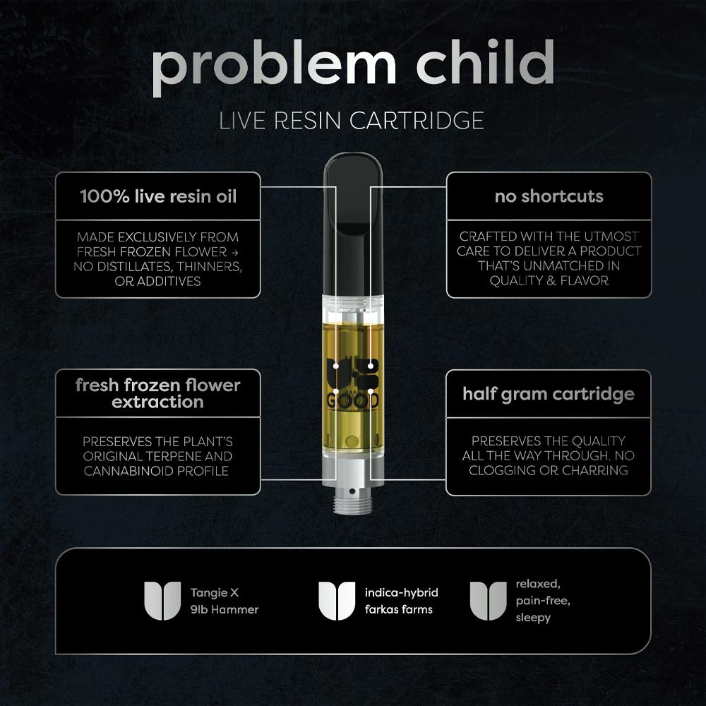 Photograph of product: Problem Child Disposable Vape | 0.5g - 