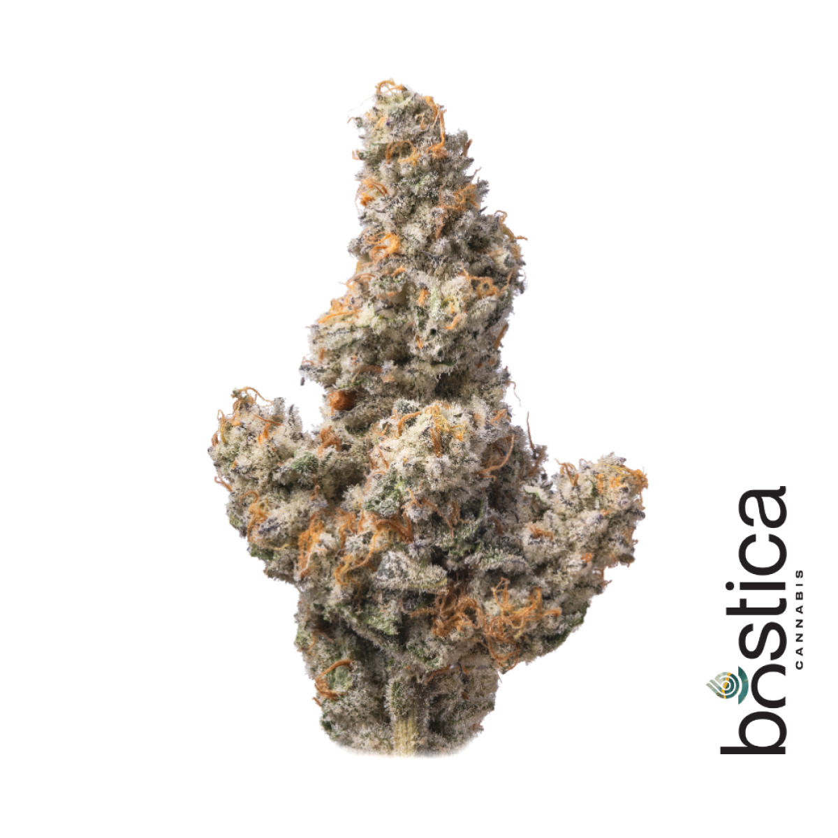 Photograph of product: Bostica - Cap Junky - 28g