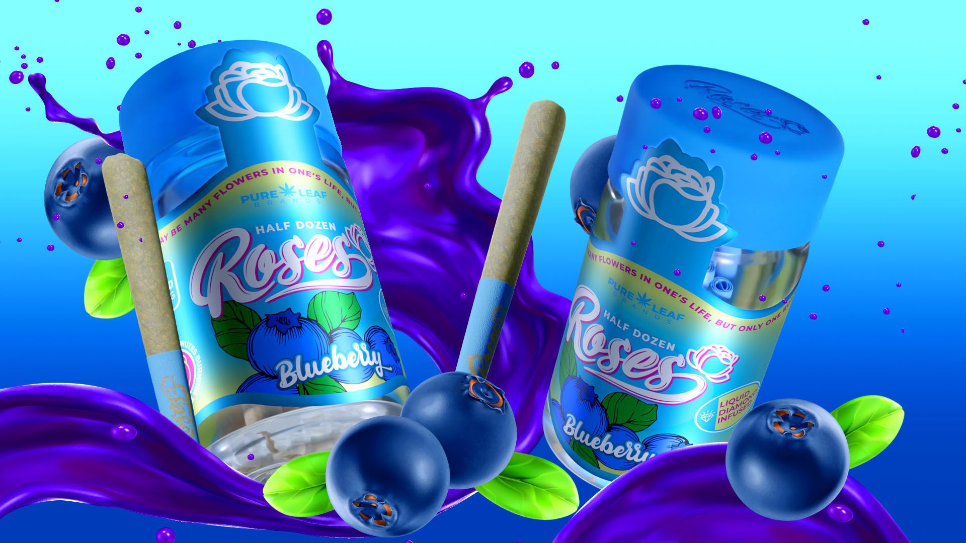Photograph of product: ROSES | ICC | BLUEBERRY 6 PACK 3G