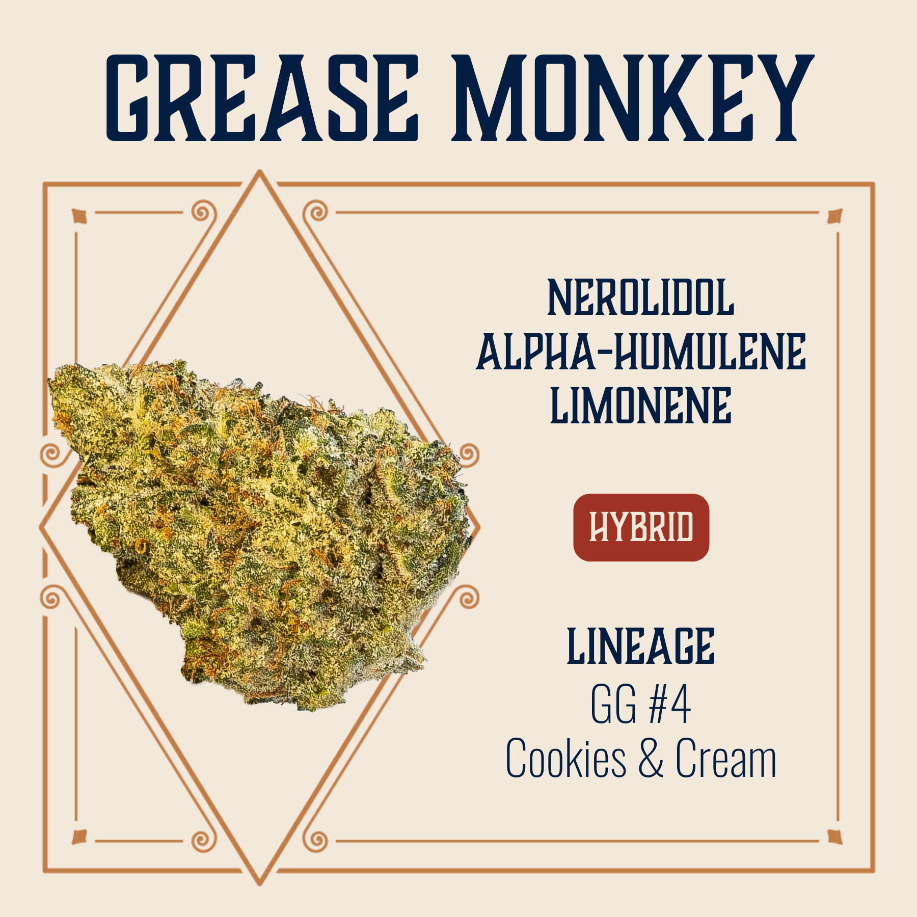 Photograph of product: Grease Monkey Flower | 3.5g - 