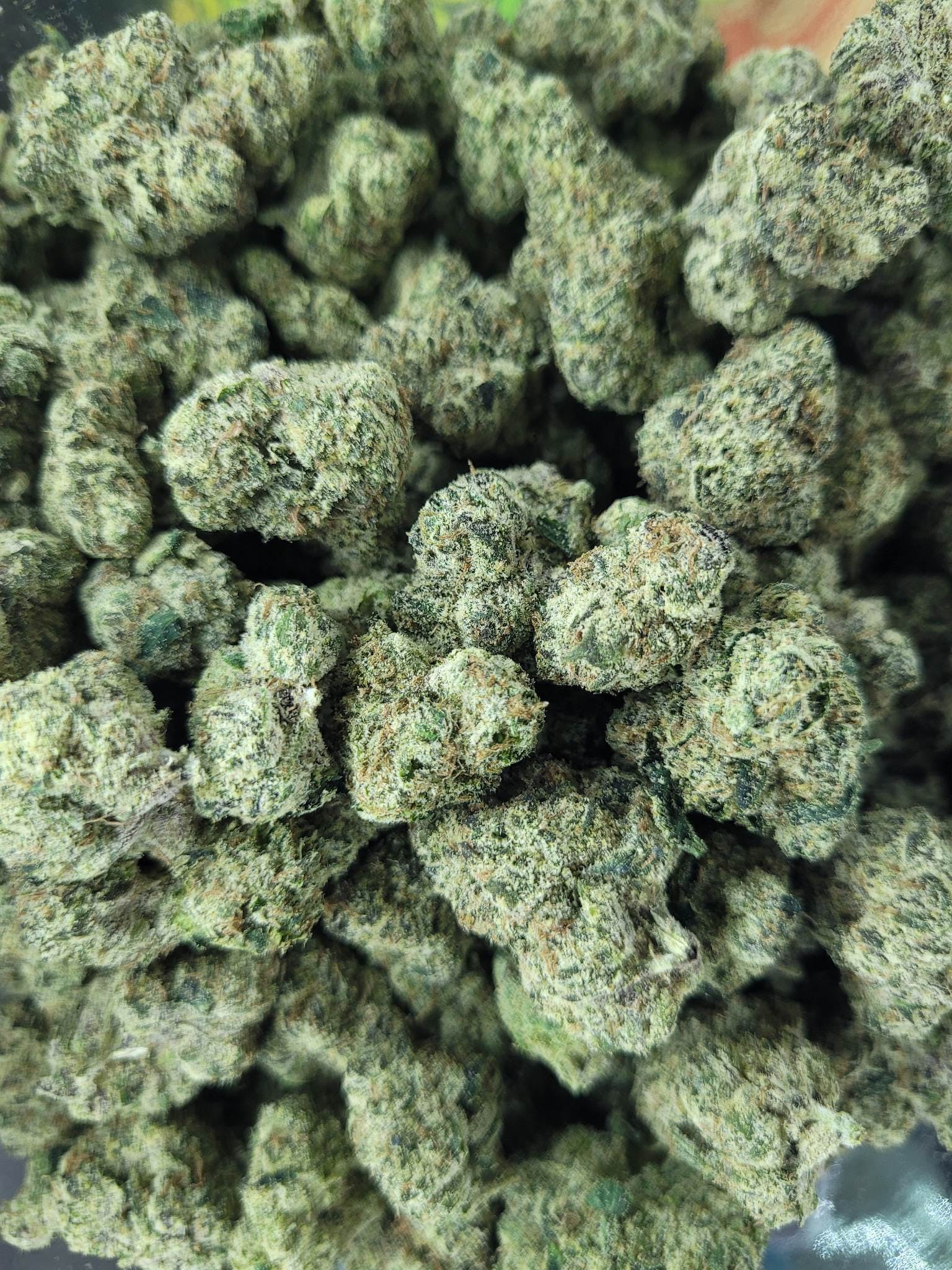 Photograph of product: High Society **SALE**