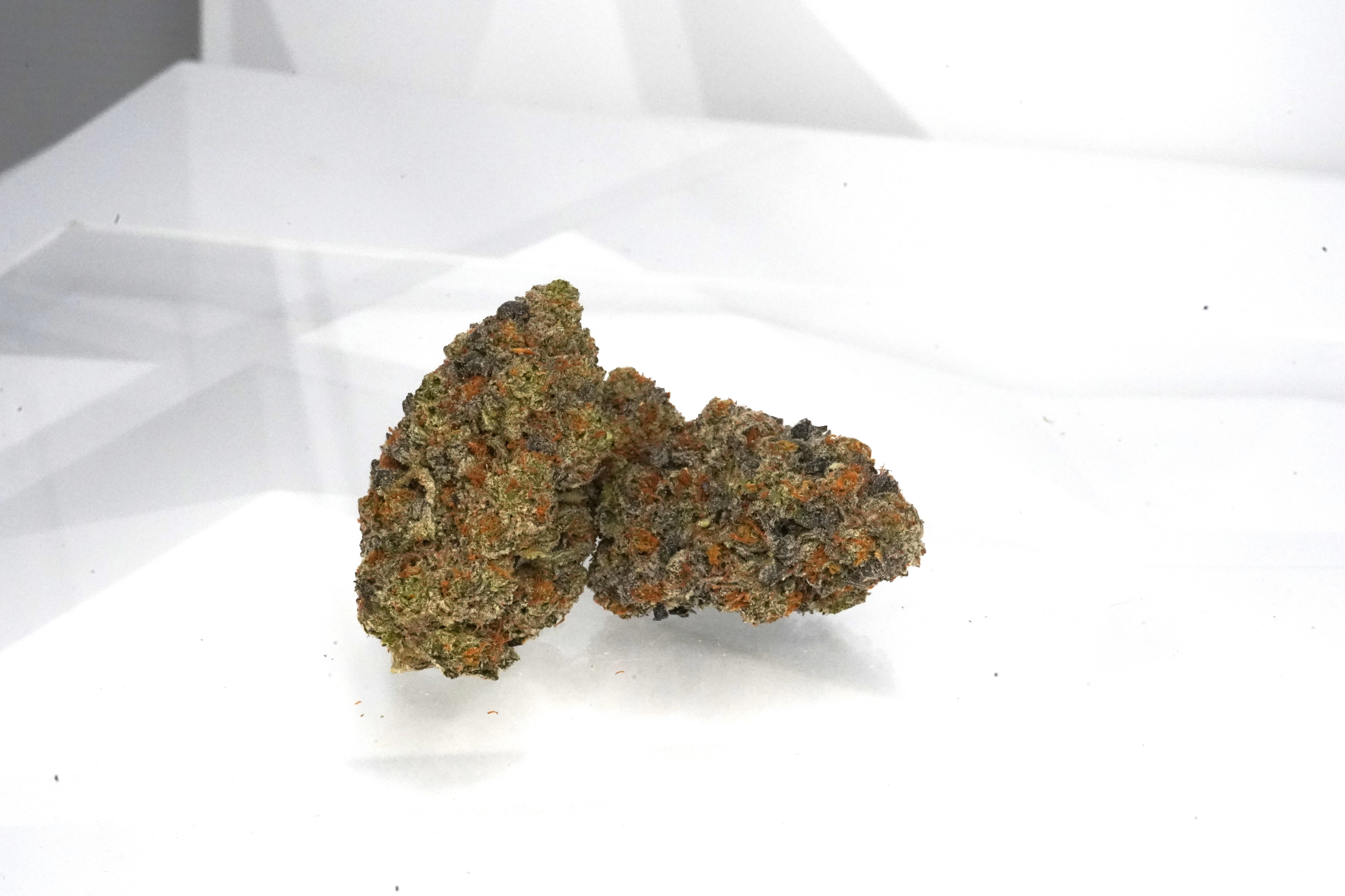 Photograph of product: Divinity Remix | Popcorn - 3.5g