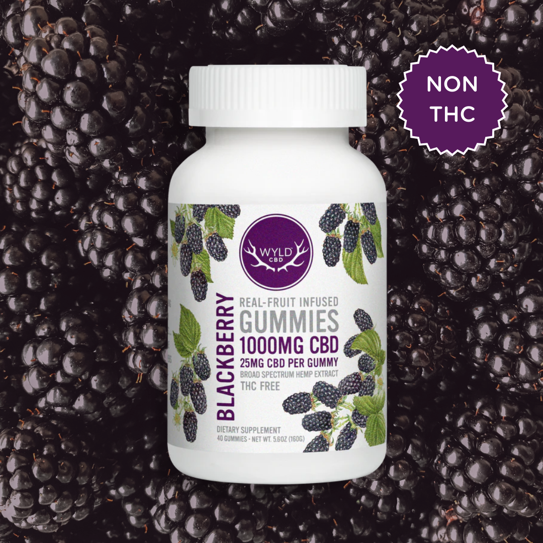 Photograph of product: Blackberry CBD Gummies | 25mg CBD - 20pk