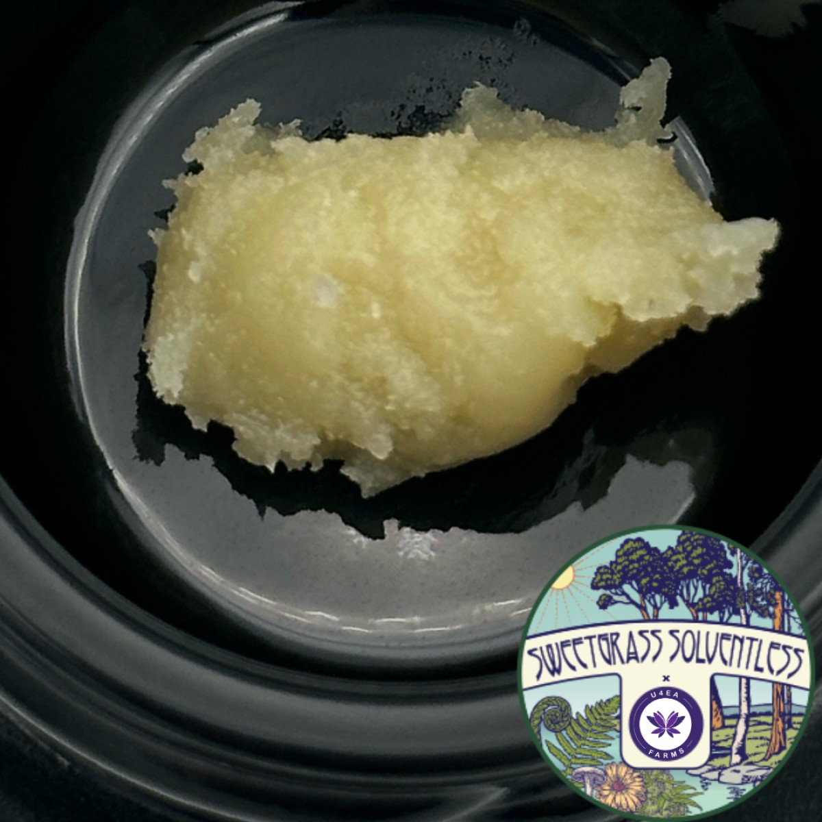 Photograph of product: Sweetgrass Botanical Zoap 1g Live Rosin