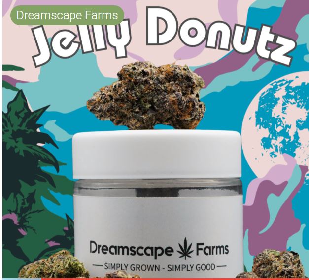 Photograph of product: SH Dreamscape Jelly Donutz - 3.5g