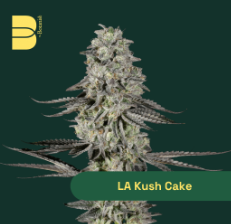 Photograph of product: Botanist - LA Kush Cake 3.5g Flower