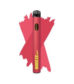 Photograph of product: Breeze - AIO Vape - 1g - Juicy Fruit Punch