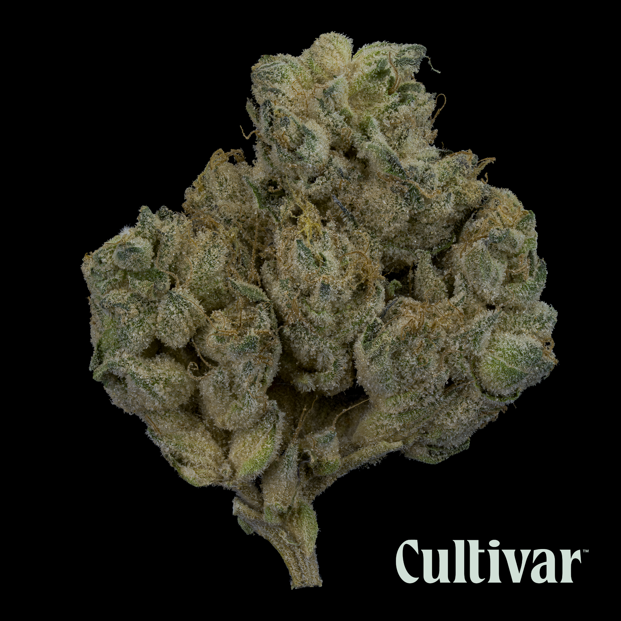 Photograph of Product: Hippie Crasher -  3.5g