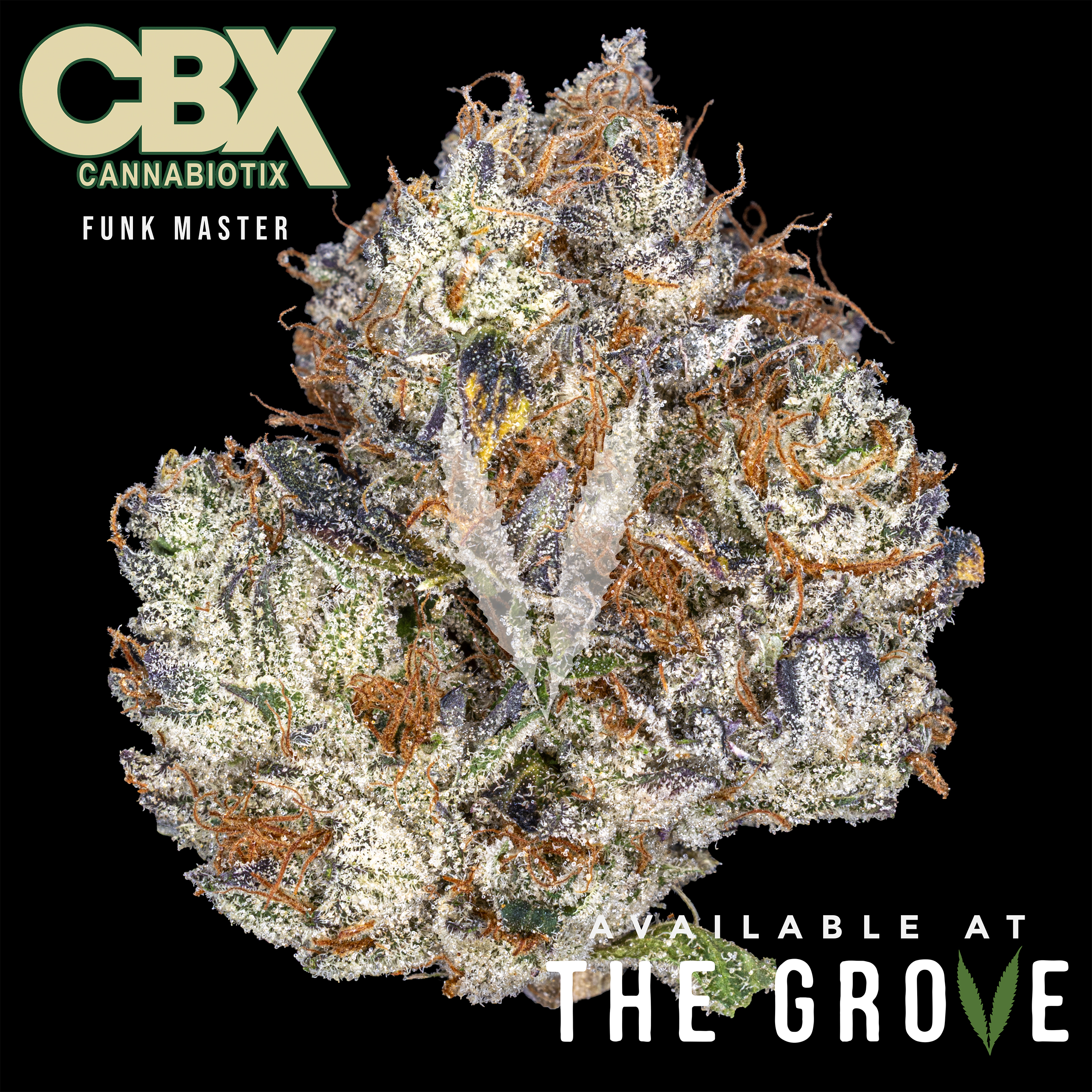 Photograph of product: CBX | Funk Master 1/8th - 3.5g