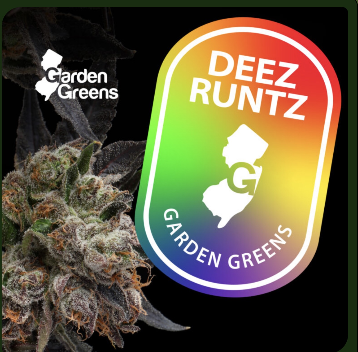 Photograph of product: Garden Greens / Deez Runtz / 3.5g Flower.