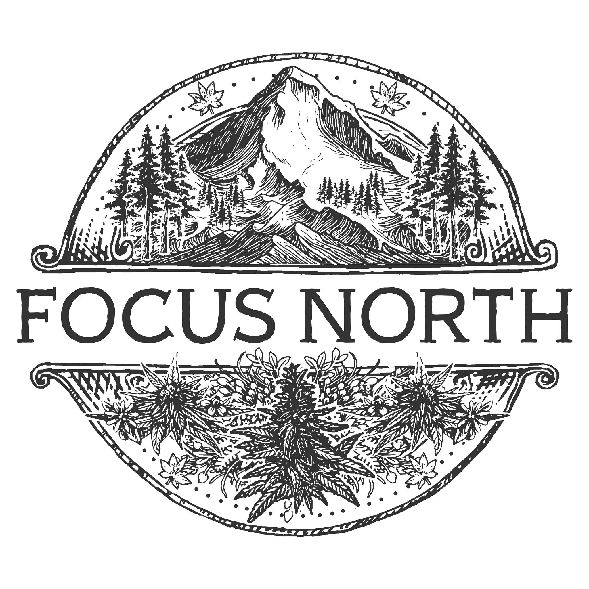 Photograph of product: Focus North - Terple 8pk Cones