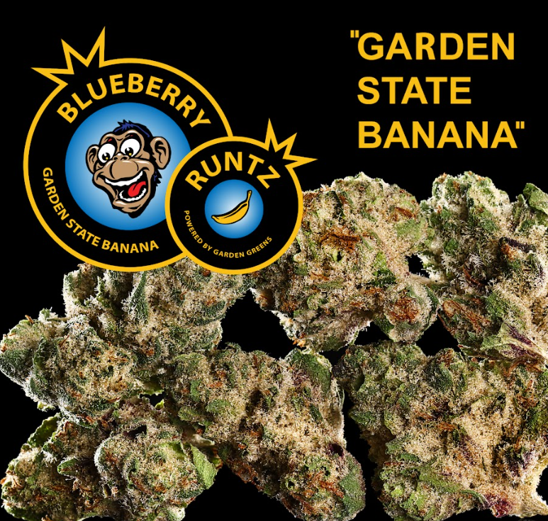 Photograph of product: [REC] Garden State Banana | Blueberry Runtz | 3.5g Flower