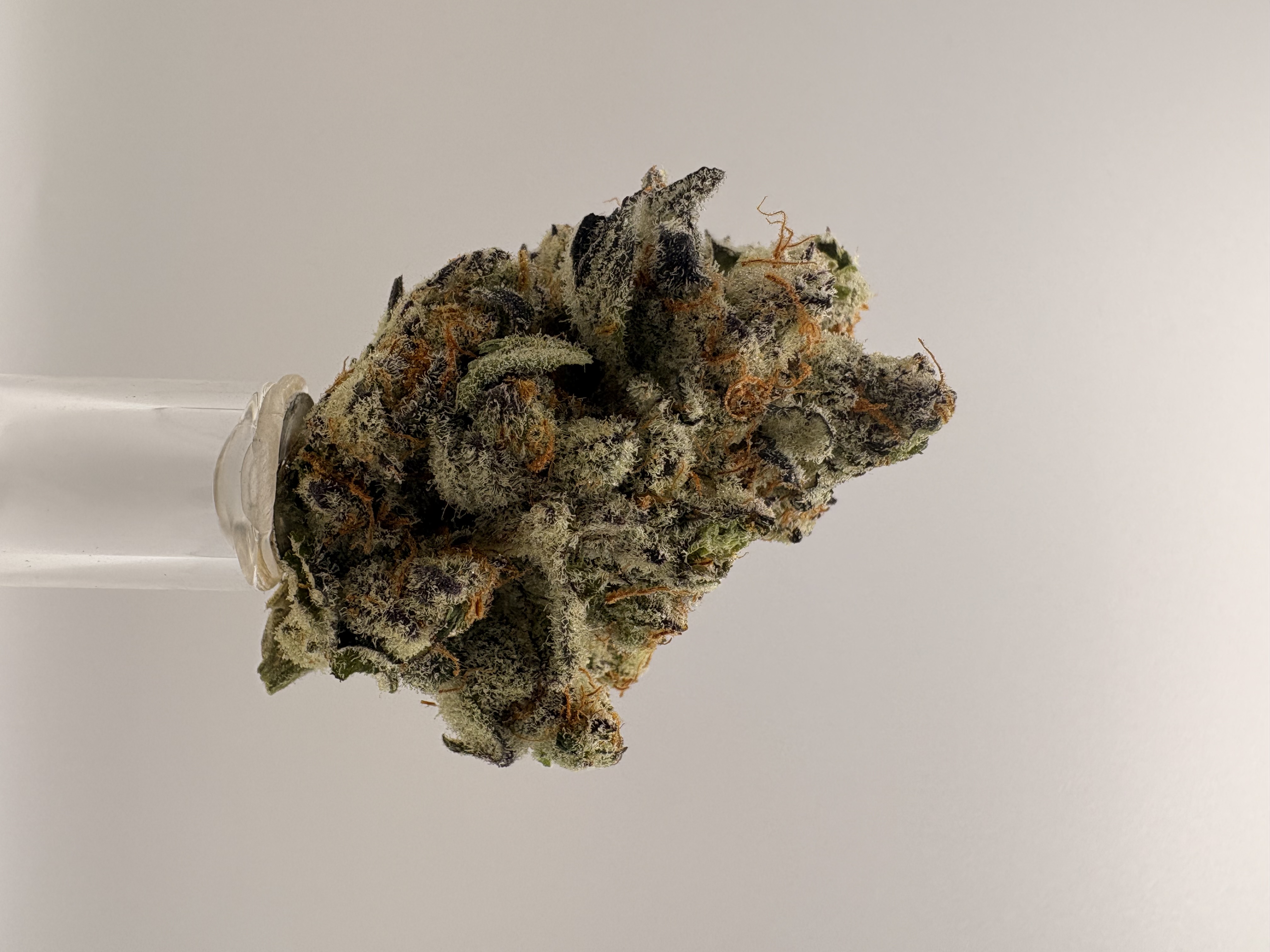 Photograph of product: Platinum Deli - Hawaiian Lion - 28g
