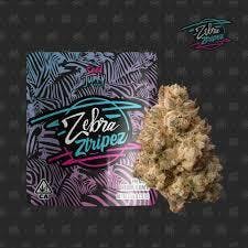 Photograph of product: Seed Junky - Zebra Stripes