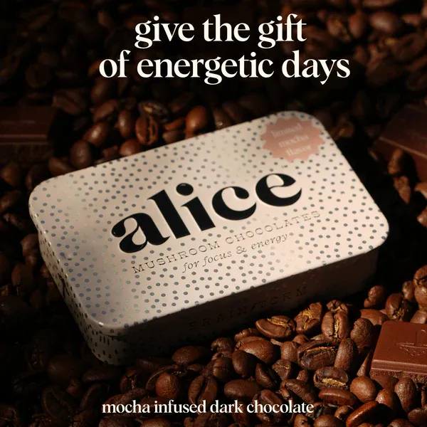 Photograph of product: Alice | Mushroom Chocolates |  Mocha Brainstorm  Focus & Energy | 16 pcs