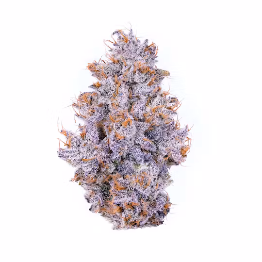 Photograph of product: Biskante [H] Flower | Alien Labs - 3.5g