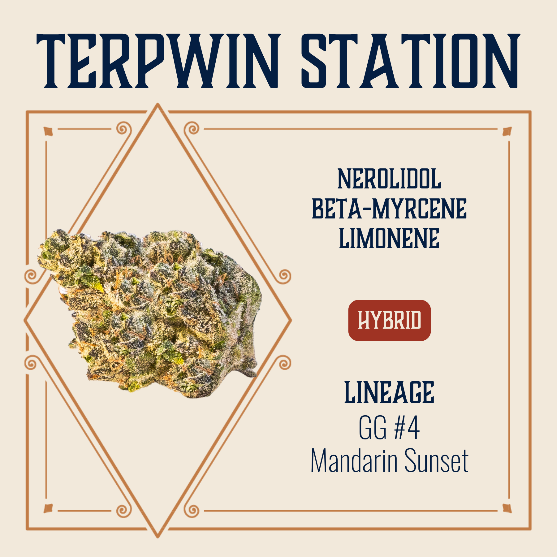 Photograph of product: Terpwin Station Flower | 3.5g