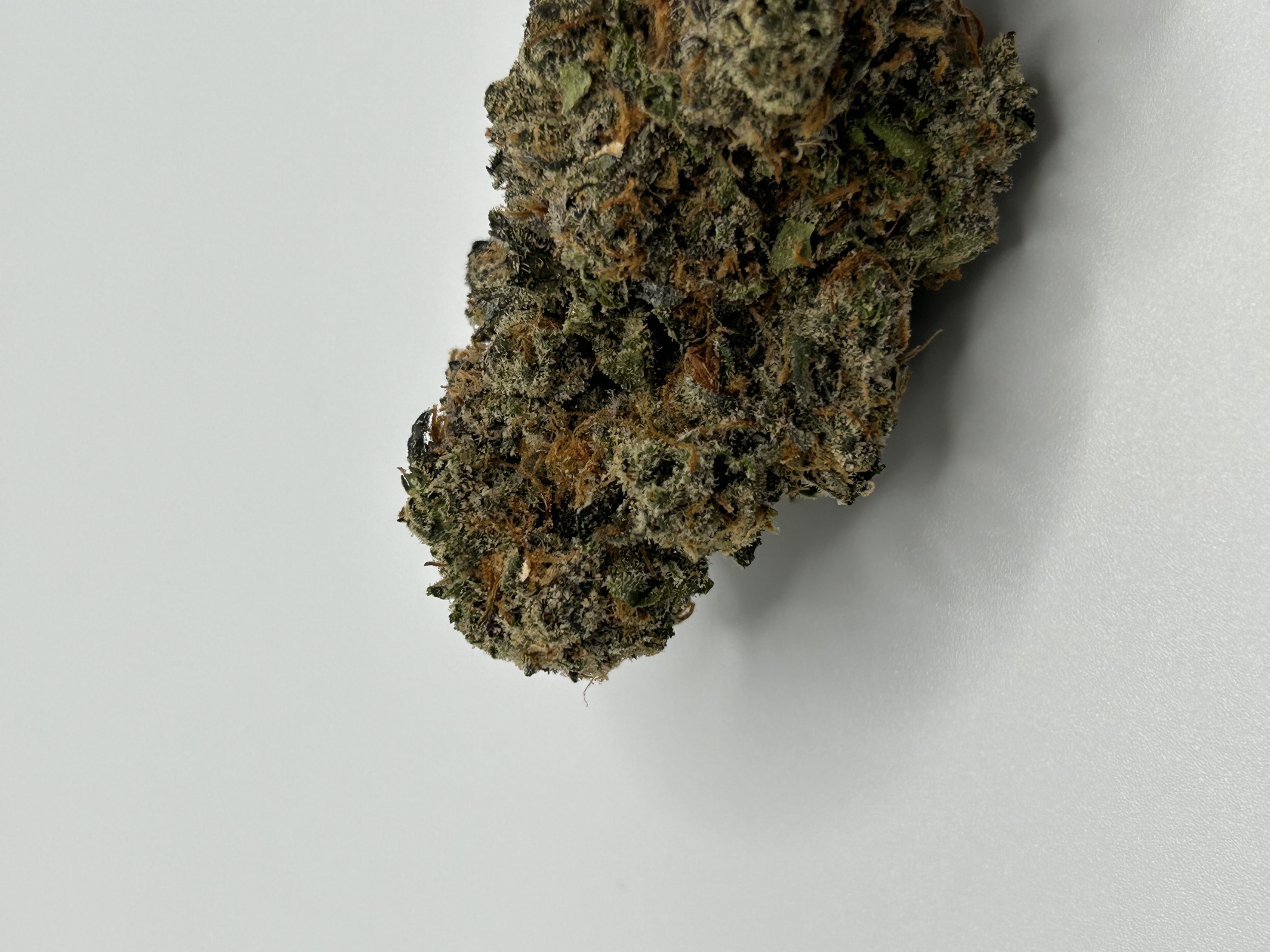 Photograph of product: BLACK TRUFFLE - 28g