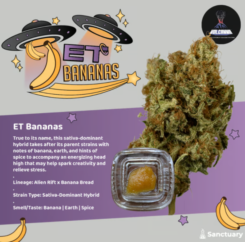 Photograph of product: Sauce - Extraterrestrial Bananas