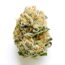 Photograph of product: Amnesia Fast Flower - 3.5g