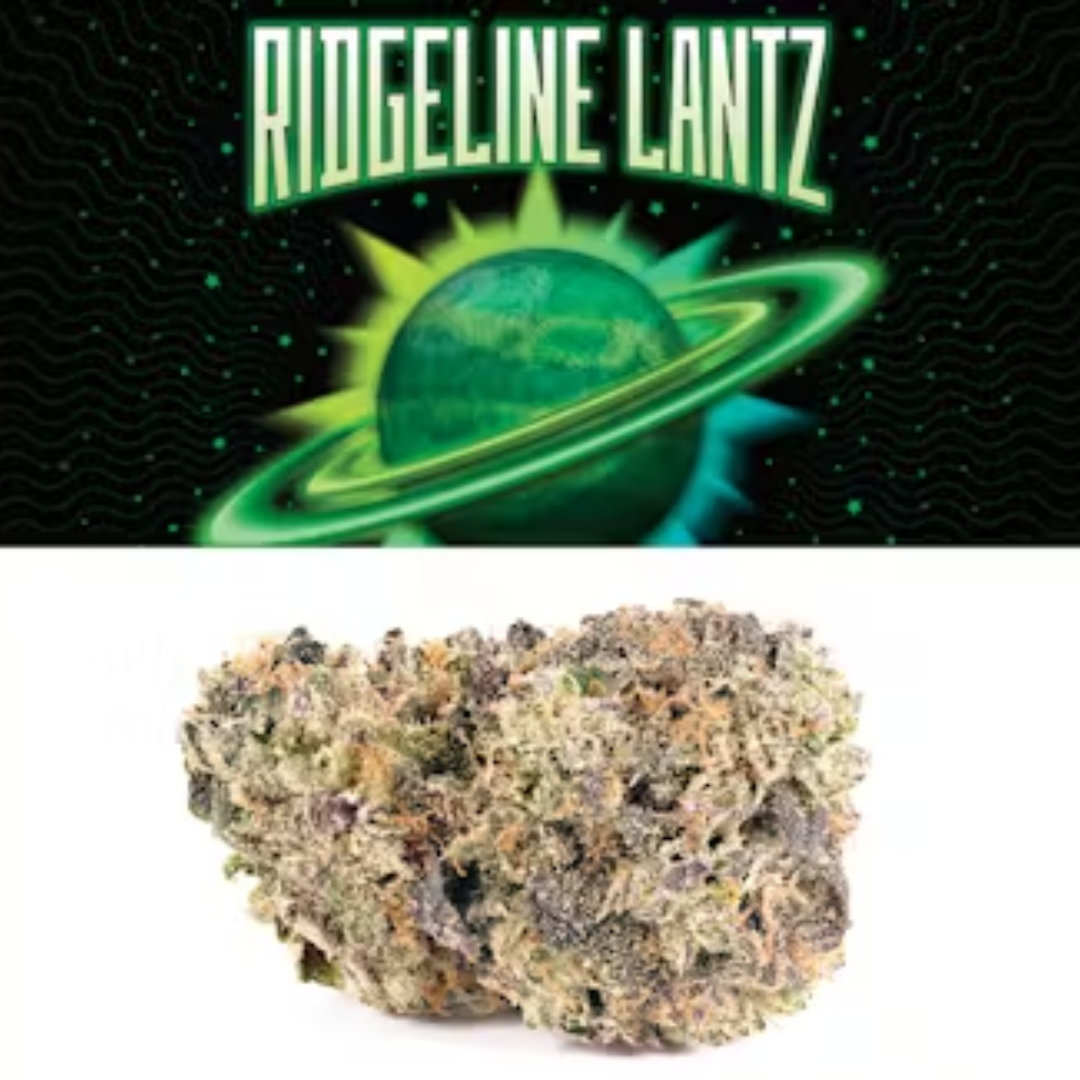 Photograph of product: Cookies - Flower - Ridgeline Lantz (3.5g)