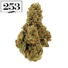 Photograph of product: Jack The Ripper-3.5g TAC 18.29