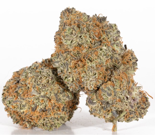 Photograph of product: Melody Genetics | Peyote Cookies - 28g