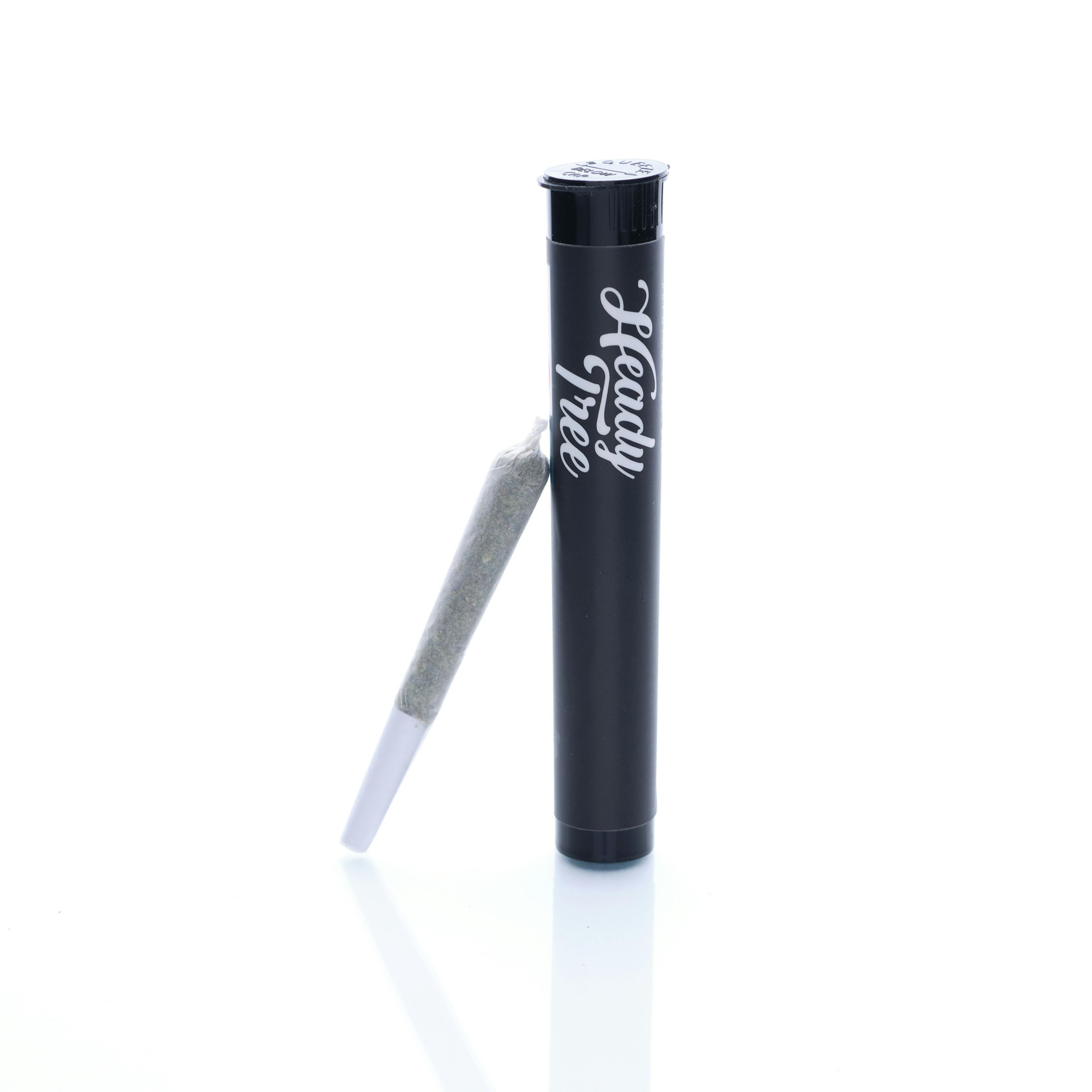 Photograph of product: Heady Tree - Pineapple Slushee Preroll - 1g