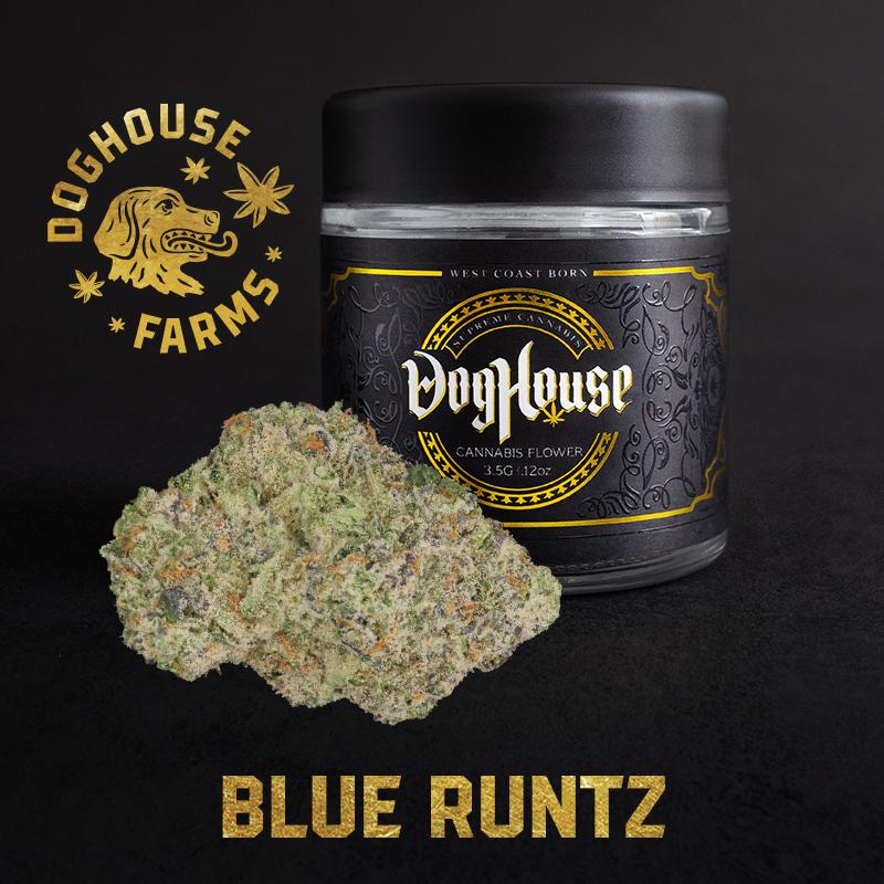 Photograph of product: DogHouse - Blue Runtz 3.5g