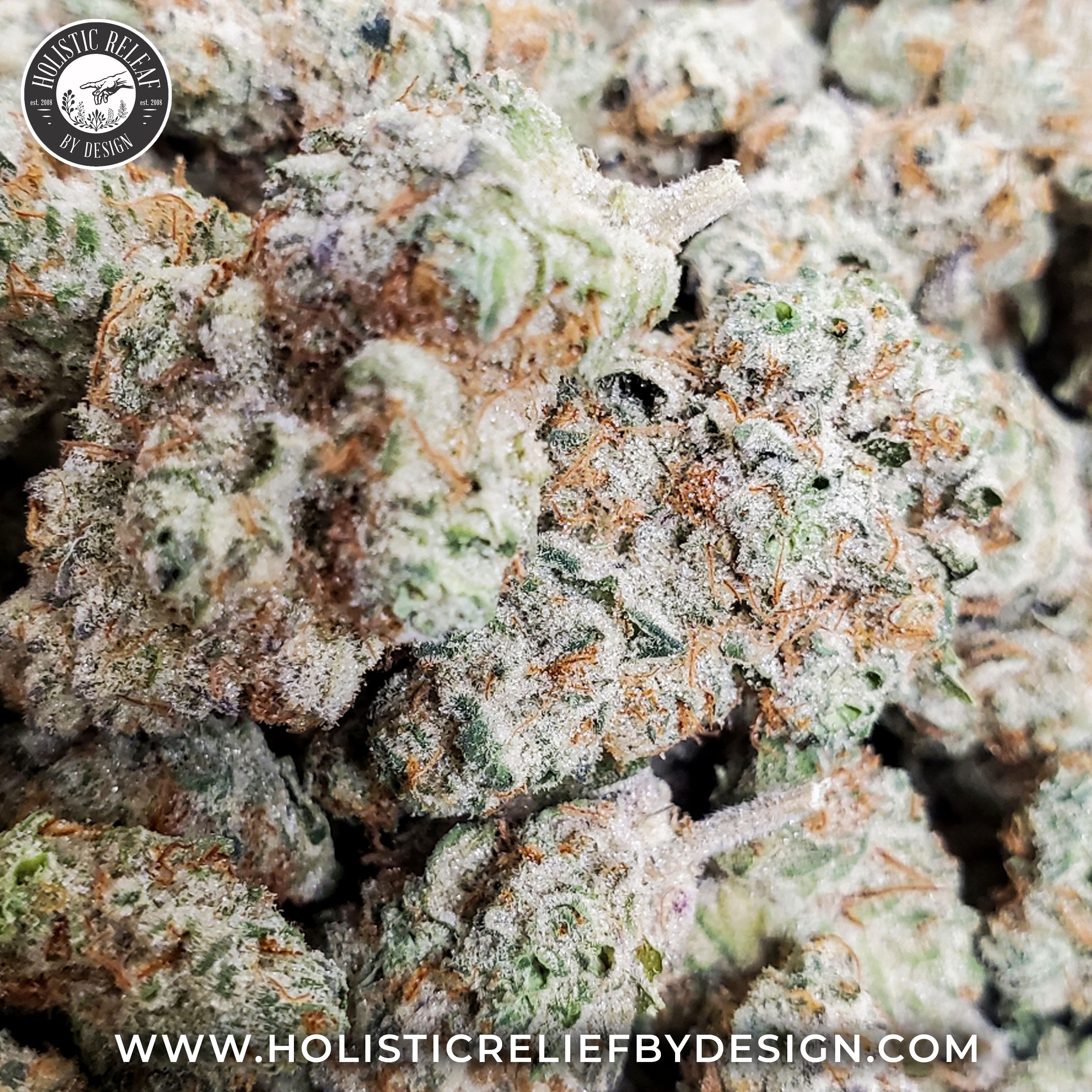 Photograph of product: DonnyBurger#6-Flower-|Oui'd-Dominant|HRBD - 3.5g