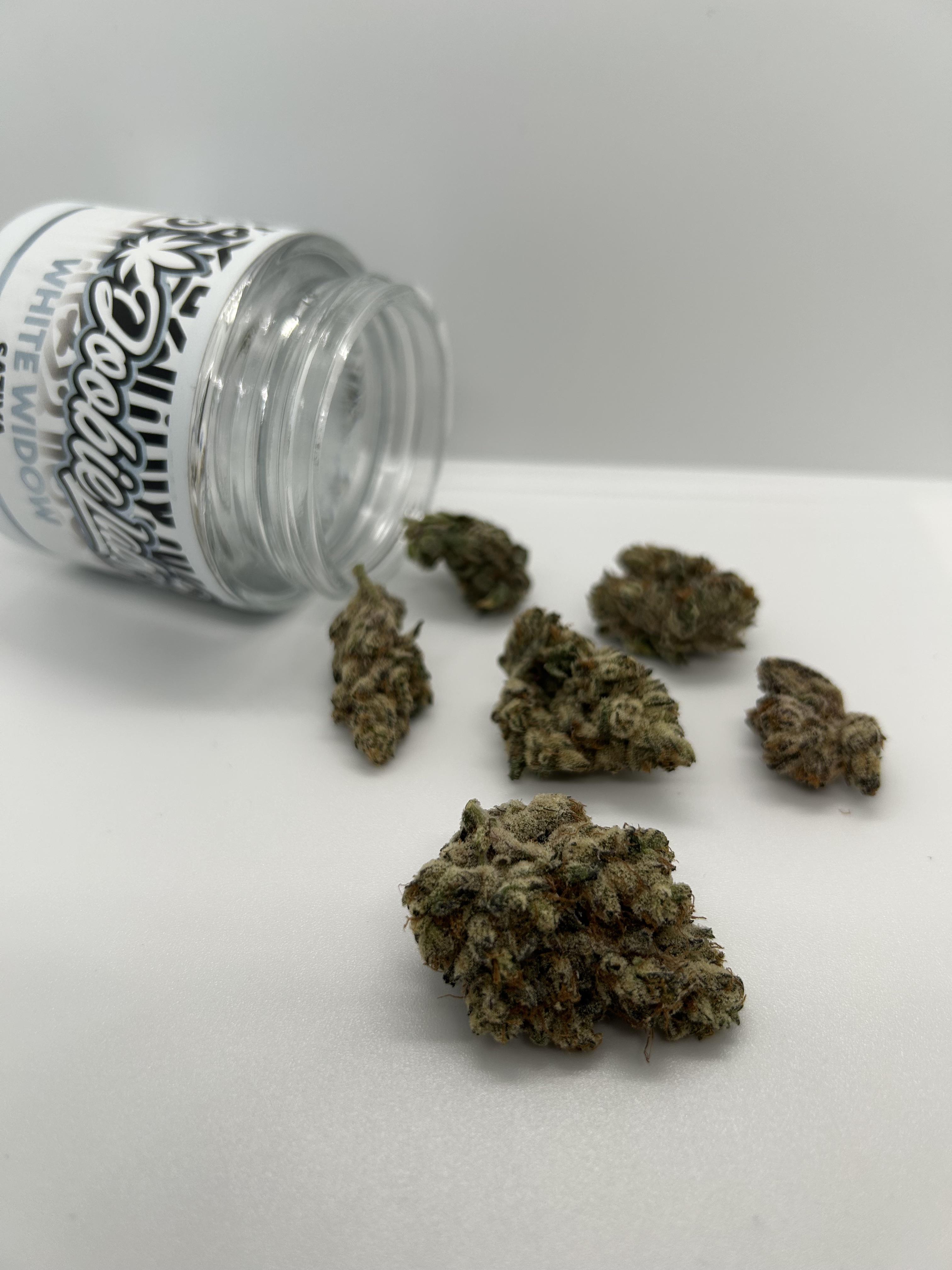 Photograph of product: White Widow | 3.5g (S) | 21.52%