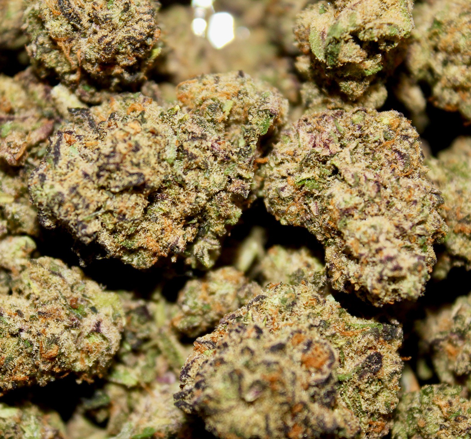 Photograph of product: Violet Vixen 1g Pre Roll