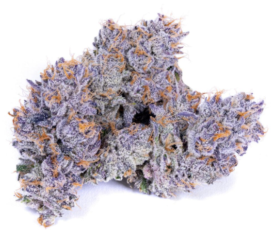 Photograph of product: Flower | Governmint Oasis - 28g