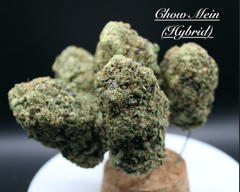 Photograph of product: Chow Mein Flower | 3.5g - Costal Healing