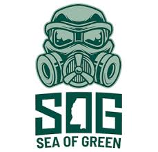 Photograph of product: SOG - Honey Bananas (3.5g)