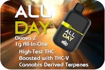Photograph of product: E29 l Vape AIO l Guava Z 1G