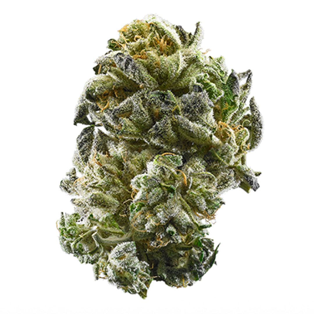Photograph of Product: SHAKE - GSC