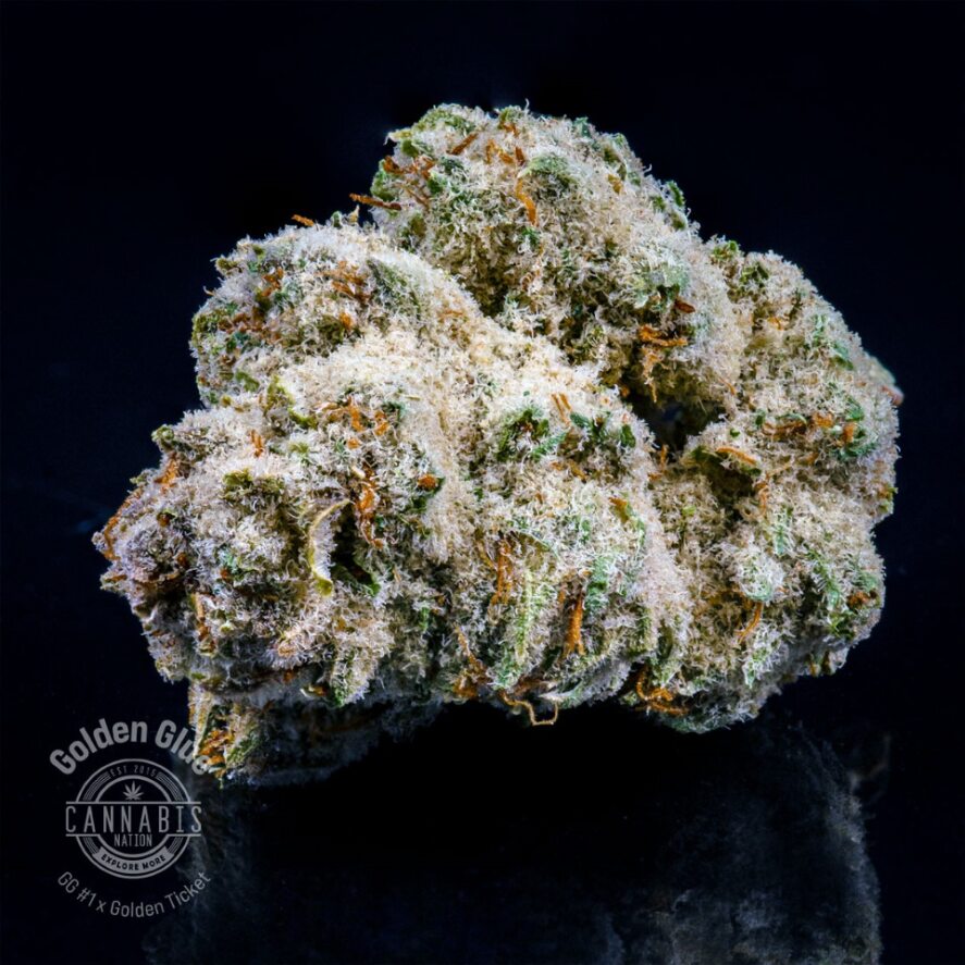 Photograph of product: Flower | Golden Glue - 3.5g