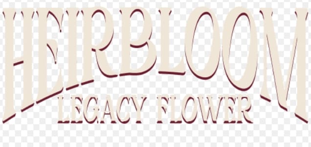 Photograph of product: Original Glue | .75g Pre Roll - 