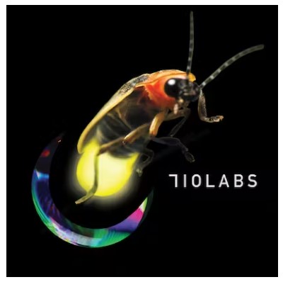 Photograph of product: Banana Rickscotti | 3.5g | 710 Labs