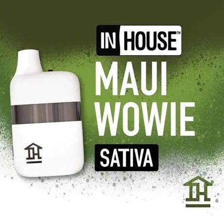 Photograph of product: Maui Wowie | Disposable | 2g